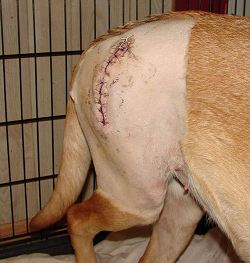 Trinity after surgery