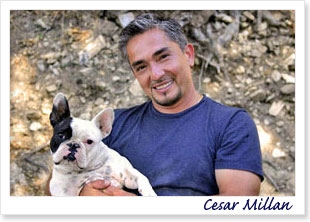 Cesar Millan - The Dog Whisperer