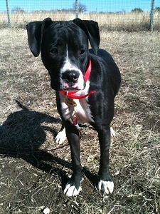 Lola